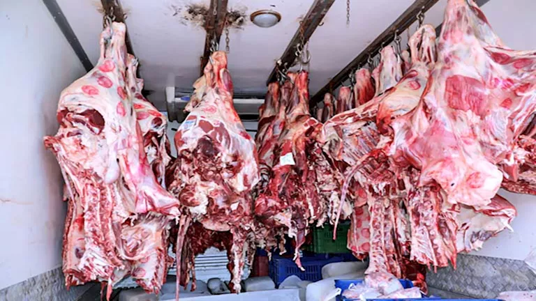 محافظ سوهاج يفتتح منفذ حياة كريمة لبيع اللحوم والسلع الغذائية