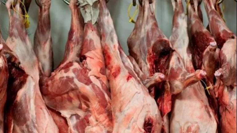 ضبط 20 طن لحوم ودواجن ومصنعات مخالفة في حملات مكثفة بالشرقية