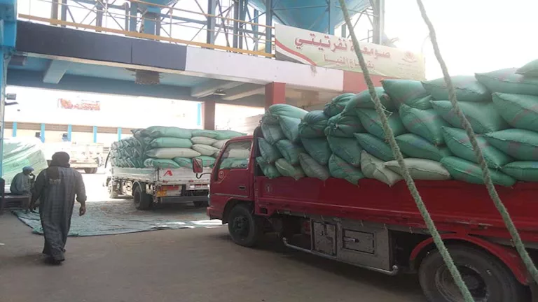 الإسماعيلية تتجاوز المستهدف في توريد القمح المحلي بنسبة 105%