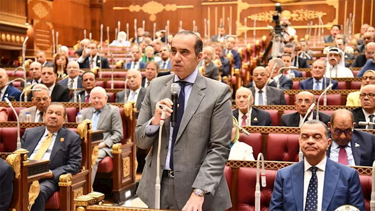 المستشار محمود فوزي يحضر جلسة الشيوخ بشأن آليات مواجهة التصحر