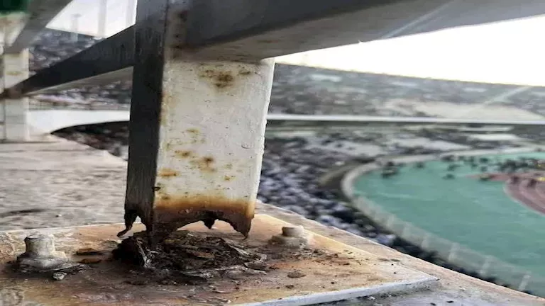 الحماية الجزائرية تكشف عدد وفيات وإصابات مباراة المولودية ونجم مقرة