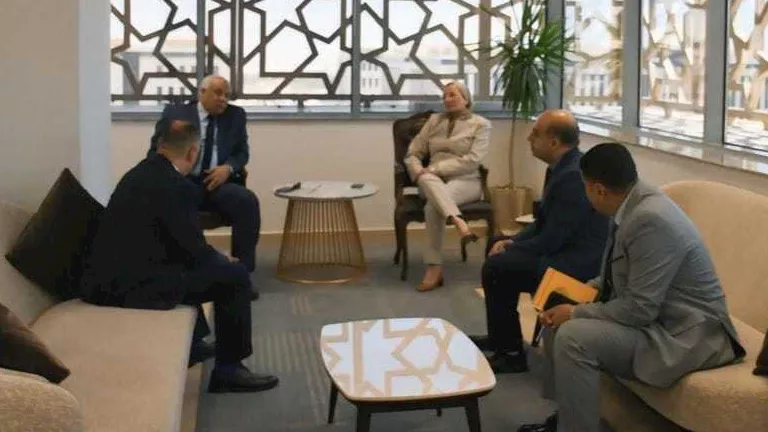 وزيرة البيئة تبحث الاستفادة من جريد النخيل بالوادي الجديد