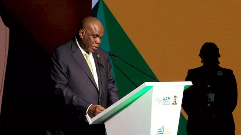 أفريكسيم بنك يخطط لزيادة أصول البنك إلى 250 مليار دولار خلال 10 سنوات