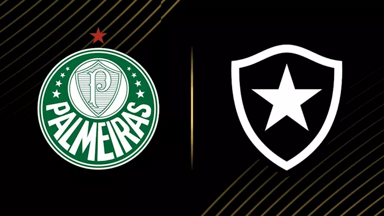 تشكيل مباراة بالميراس وبوتافوجو في ثمن نهائي كأس العالم