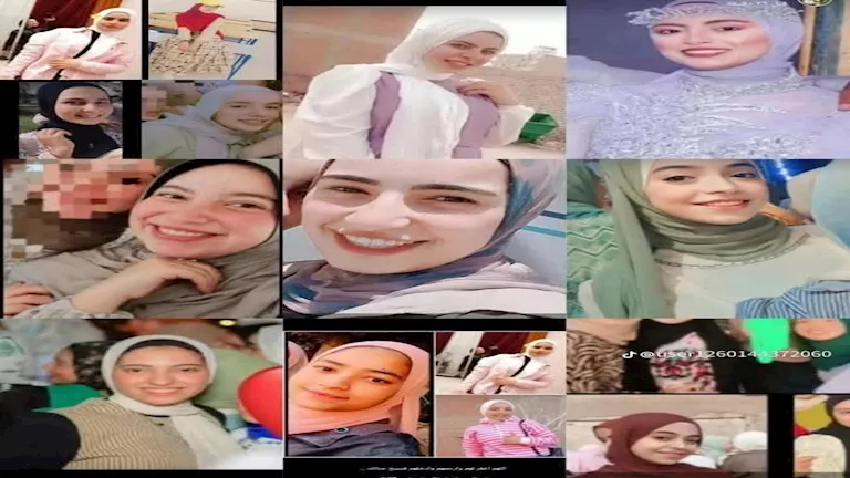 بعد حبس مالك سيارة إقليمي المنوفية بسببها.. ماذا تقول المادة 18 مكرر 3