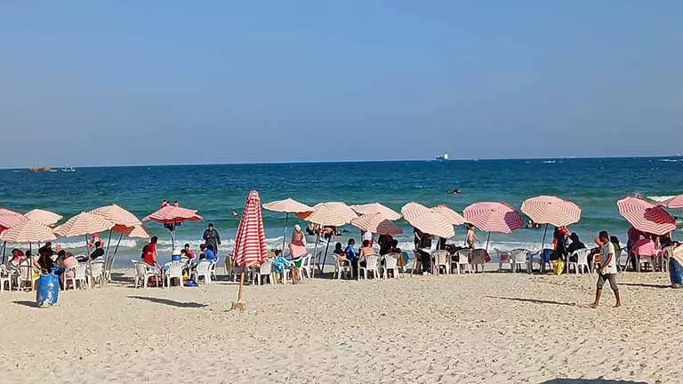 حرارة شديدة وشبورة.. الأرصاد تُعلن طقس غدا الثلاثاء