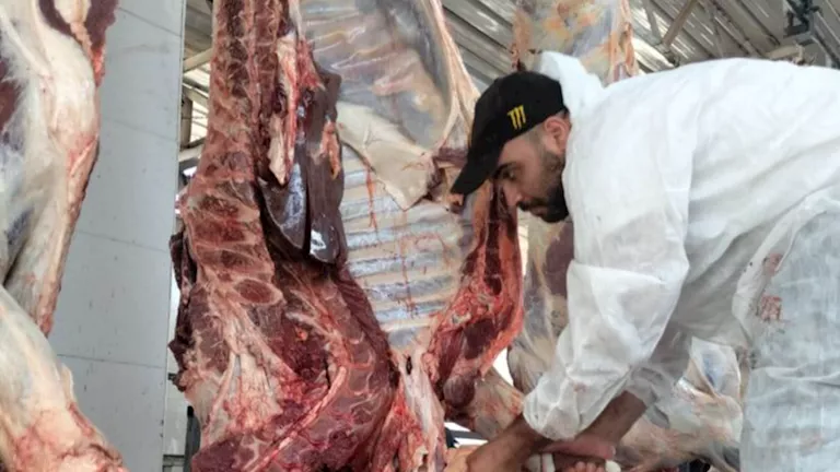 مجانًا خلال العيد.. 13 مجزرًا حكوميًا بأسوان تواصل ذبح الأضاحي