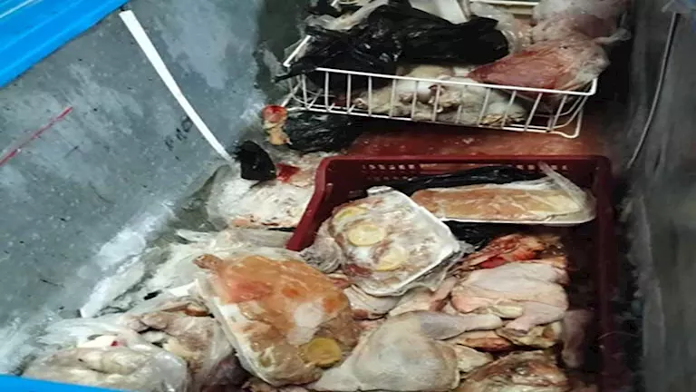 حملات على الأسواق لضبط الأسعار فى ثالث أيام عيد الأضحى بالمنوفية