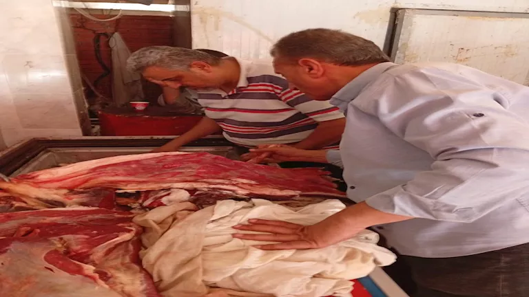 ضبط 1670 كيلو لحوم ودجاج فاسد فى حملة بالدقهلية