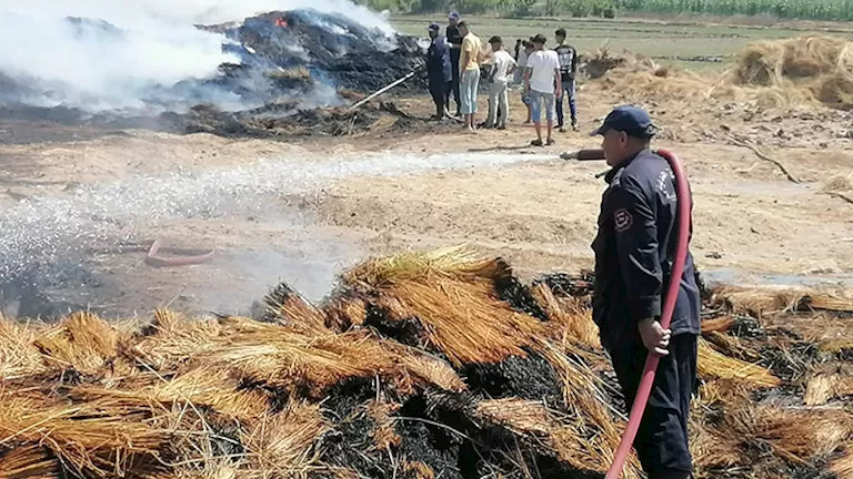 حريقان في شهر.. النيران تأكل ملايين الكتان بالغربية