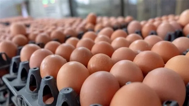 خريطة الأسعار اليوم: ارتفاع الدقيق والسكر والأسمنت والذهب