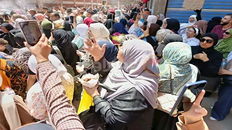 لطلاب الثانوية 2025.. كل ما تريد معرفته عن برنامج الترجمة بتنسيق الجام