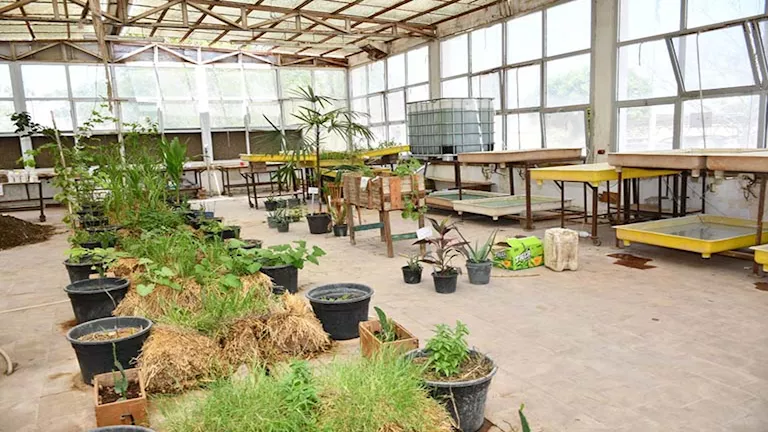 وحدة تدوير المخلفات الزراعية بجامعة قناة السويس