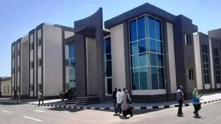 بالأرقام.. تفاصيل الاستعداد لتنفيذ المرحلة الثانية من “التأم