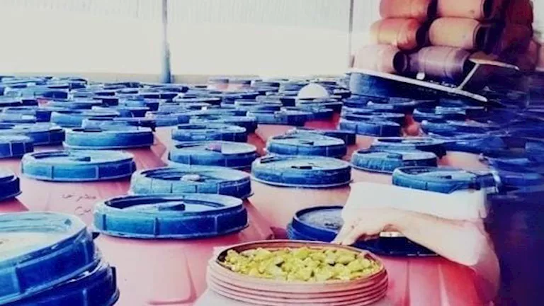 ضبط 100 طن مخللات مجهولة المصدر داخل مصنع غير مرخص بالبحيرة