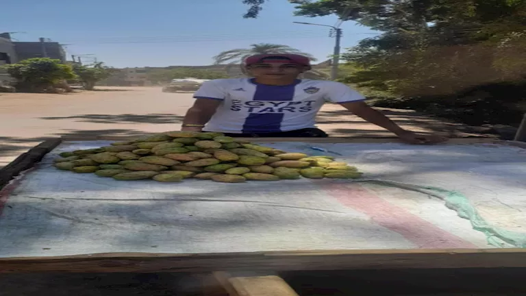 من مزارع العنب والتين الشوكي إلى التمرين.. تفاصيل يوم لاعب أسمنت أسيوط