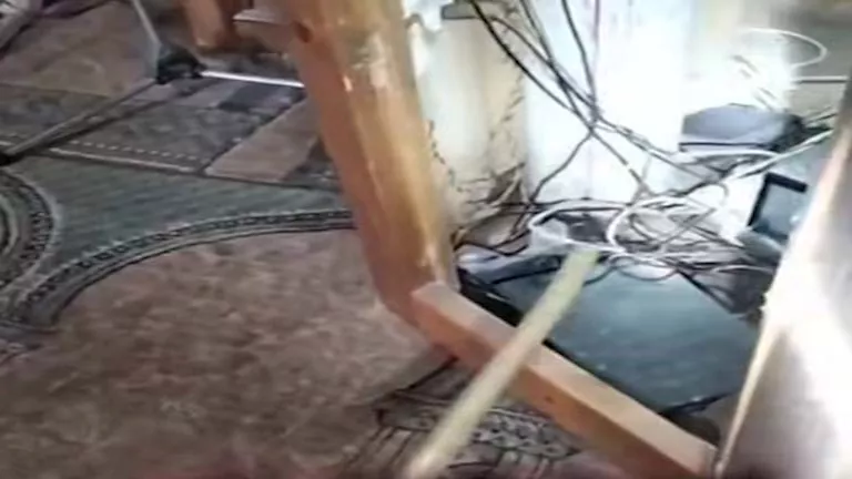 الرفاعي أخرجها من المنبر.. حكاية الكوبرا السامة التي أثارت رعب المصلين