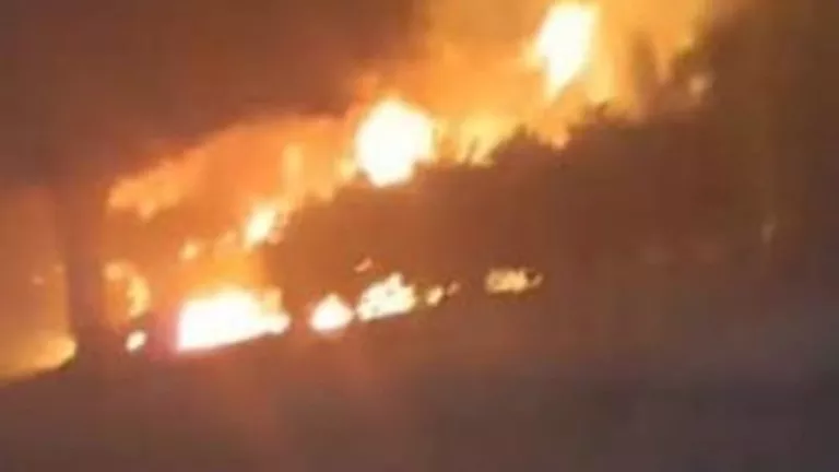 السيطرة على حريق اندلع داخل زراعات النخيل في الخانكة