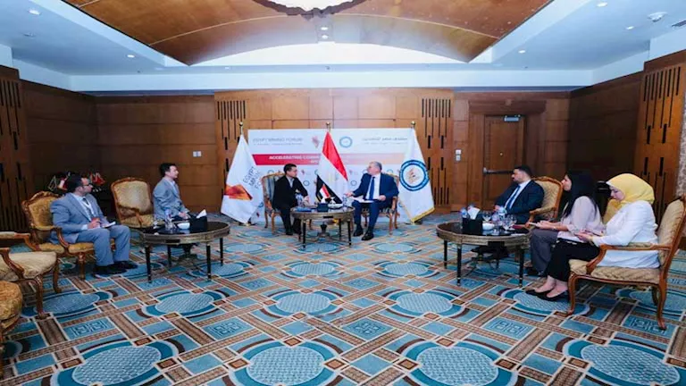 وزير البترول يبحث مع شركة صينية مشروعاً لتصنيع الألواح الشمسية بقناة ا