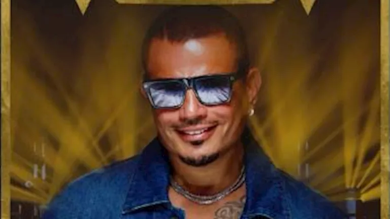 عمرو دياب يشارك في فعاليات كأس العالم للرياضات الإلكترونية بحفل غنائي