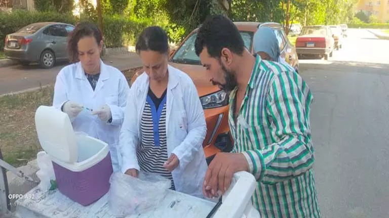 محافظة الجيزة: تخصيص مقر بإمبابة لتعقيم وتطعيم الكلاب الضالة