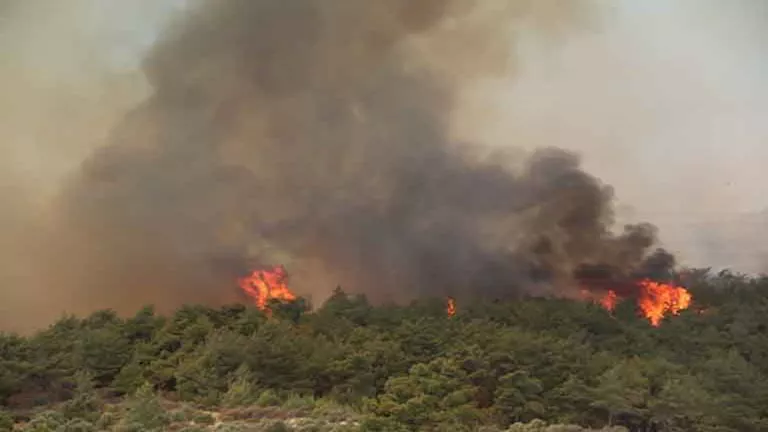 أوروبا تشهد موجة حر شديدة.. واندلاع الحرائق في تركيا وفرنسا (فيديو-صور