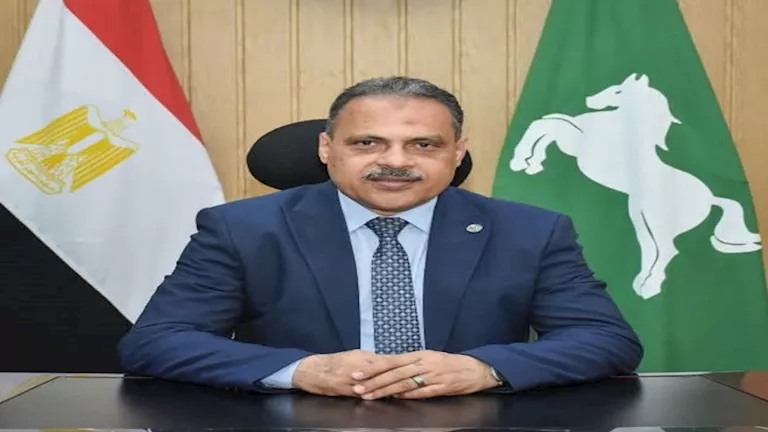 حازم الأشموني يهنئ أهالي الشرقية بذكرى المولد النبوي الشريف