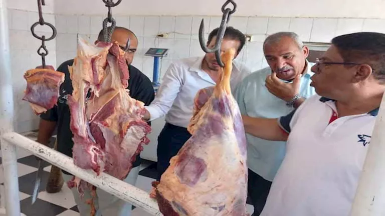 لحوم طازجة بأسعار مخفضة في جنوب سيناء.. طرح 7 عجول بفروع “دلتا ماركت”