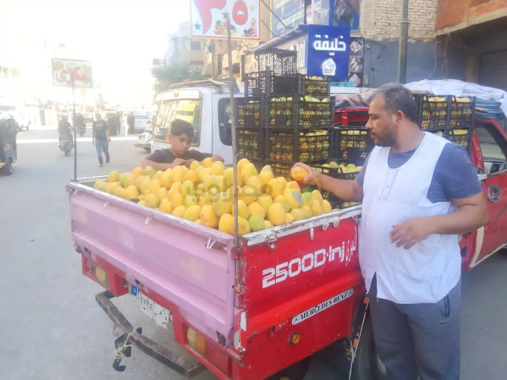 71612b33-9071-4112-8f86-0b9769e0f8f0