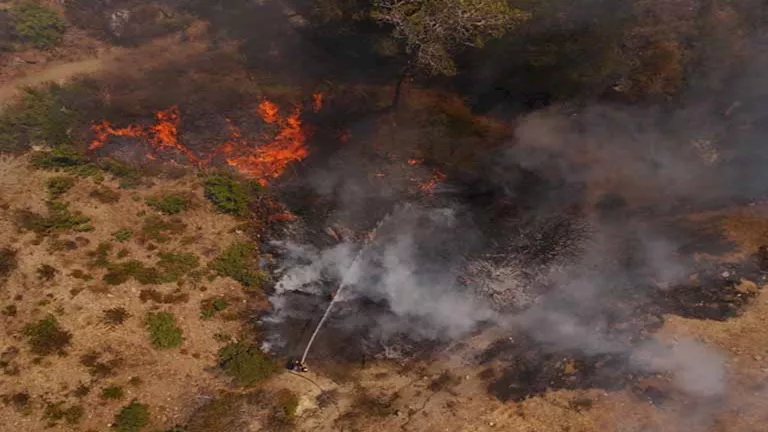 تركيا تحذر من خطر اندلاع حرائق الغابات