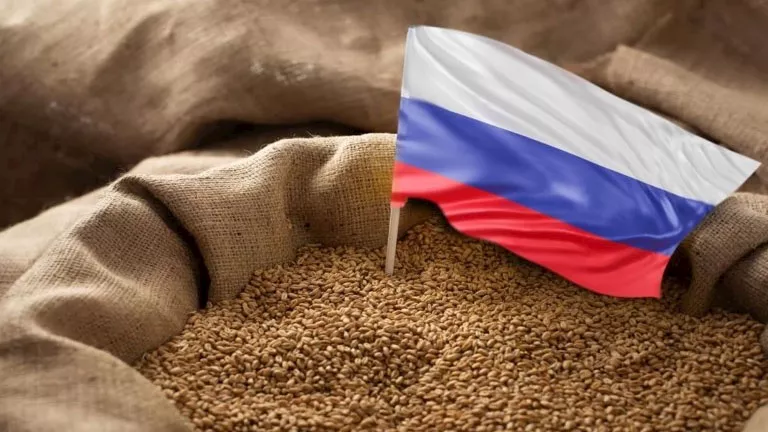 للمرة الأولى منذ 2021.. روسيا تخفض رسوم تصدير القمح إلى الصفر لتعزيز ا