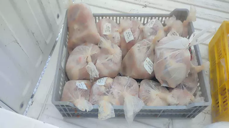 ضبط كميات كبيرة من الدجاج منتهي الصلاحية داخل مطعم شهير في بورسعيد