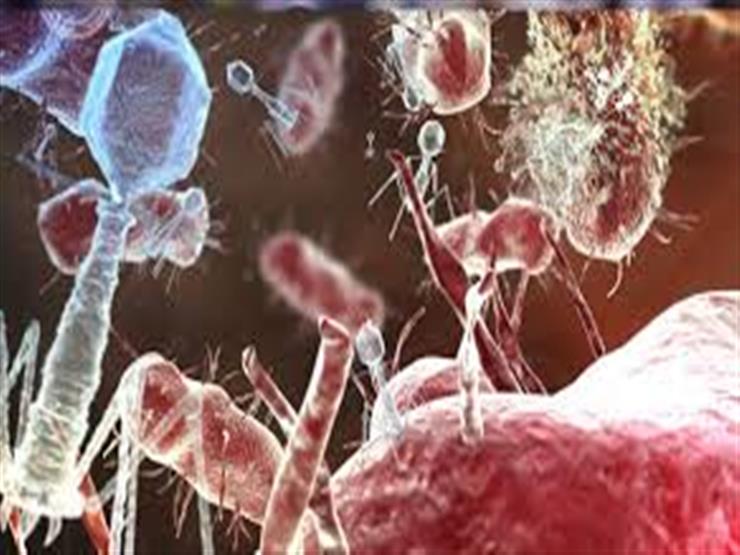 خلال شهر.. وفاة 68 لاجئًا سودانيًا بـ وباء الكوليرا في تشاد