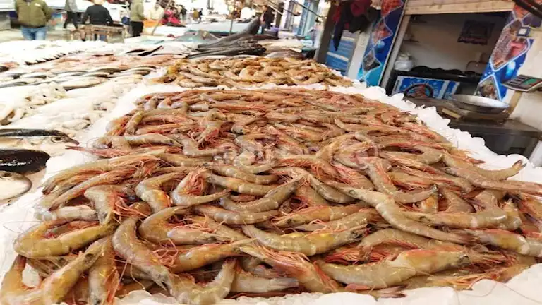 انخفاض الجمبري.. أسعار الأسماك في سوق العبور 28-8-2025