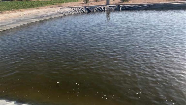 ارتفاع درجات الحرارة يهدد المزارع السمكية بخسائر كبيرة.. توقعات بنفوق