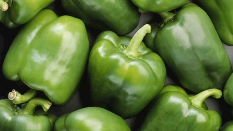 ارتفاع الفلفل.. أسعار الخضروات والفاكهة في سوق العبور اليوم