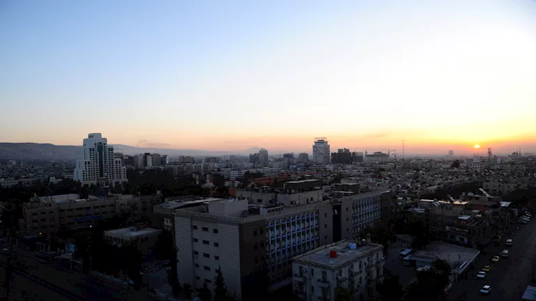 حصان هارب من صاحبه يثير ضجة على مواقع التواصل “فيديو”