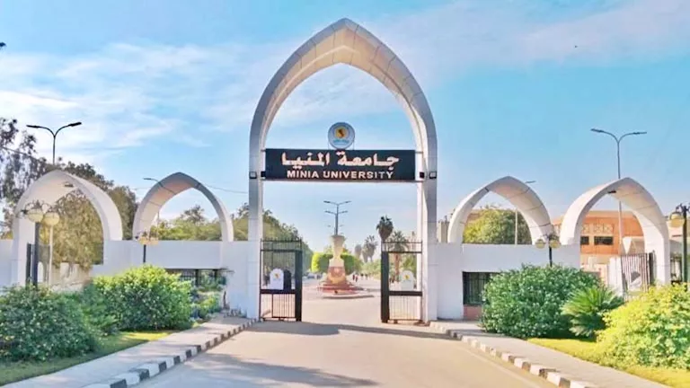 جامعة المنيا تبدأ برنامجي الذكاء الاصطناعي والأمن السيبراني العام المق