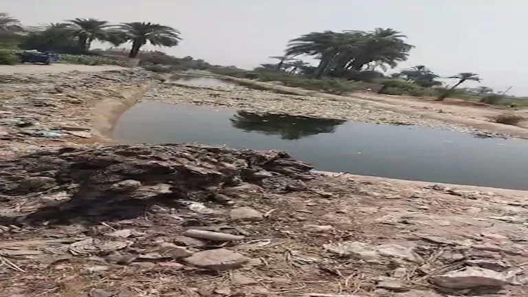 مدير ري أسيوط يرد على استغاثة مزارعي عرب مطير: المياه متوفرة والأراضي