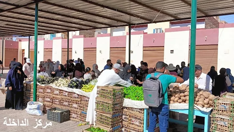 حملات نظافة وأسواق مدعمة.. جهود مكثفة لتحسين الخدمات في 5 مراكز بالواد