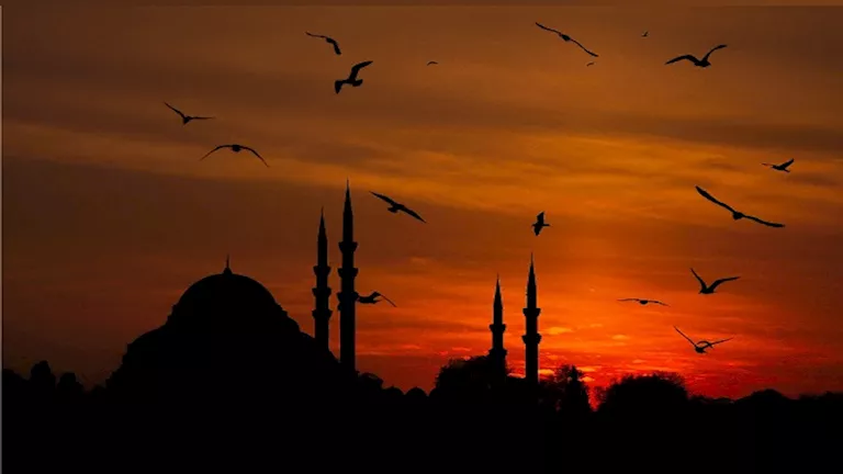 “جوقة الفجر”.. لماذا تصيح الطيور في الصباح؟