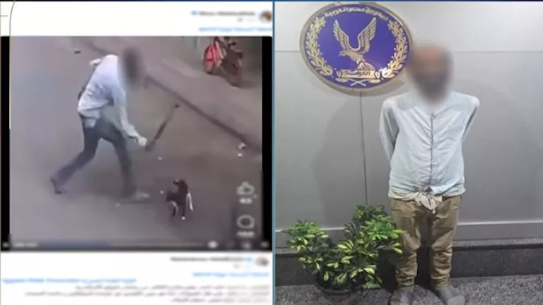 “عذبها والفيديو انتشر”.. القبض على شاب بسبب قطة | فيديو