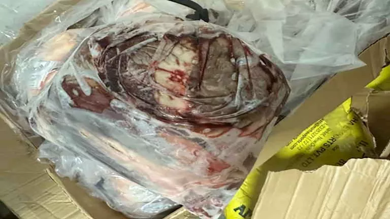 ضبط طن لحوم فاسدة في حملة بأسيوط – صور