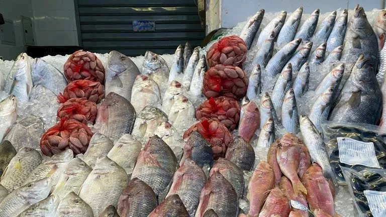 ارتفاع البلطي.. أسعار الأسماك في سوق العبور 22-8-2025