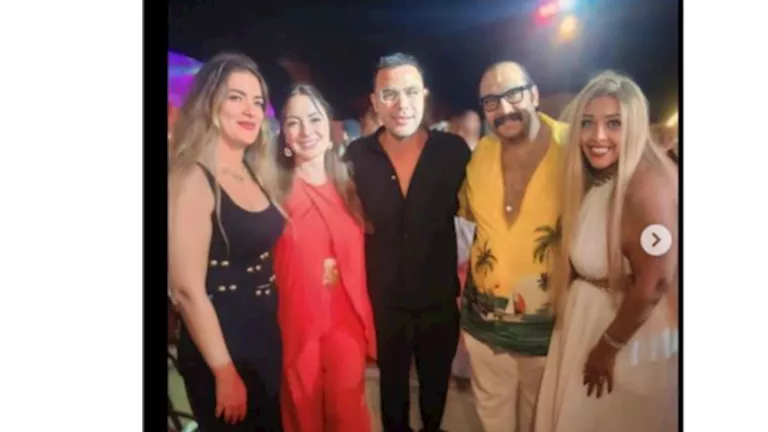 محمد إمام وهنا الزاهد ورامز جلال.. نرمين الفقي مع نجوم الفن (صور)