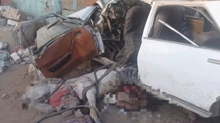 لحظات مروعة.. كيف أنهى “حمار” حياة 3 أشخاص في أسيوط؟ (صور)