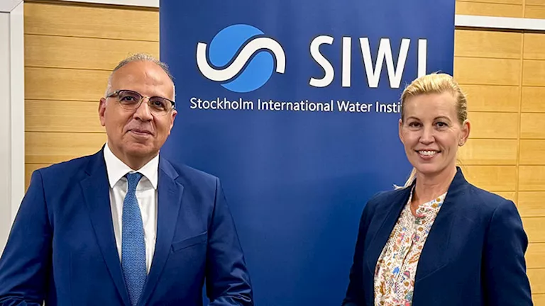 تفاصيل لقاء وزير الري بالمديرة التنفيذية للمعهد الدولي للمياه بستوكهول