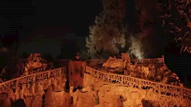 بينها الكوبري المعلق والجبلاية.. 15 صورة لاحتفالية حديقة الحيوان الليل