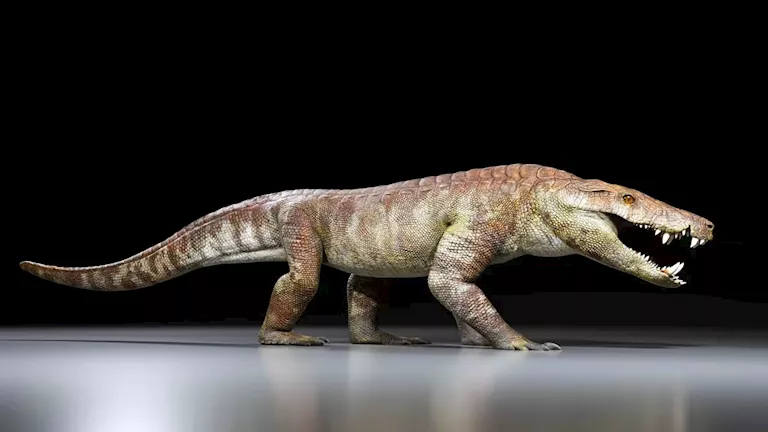 كان يلتهم الديناصورات.. العثور على وحش ما قبل التاريخ “صور”