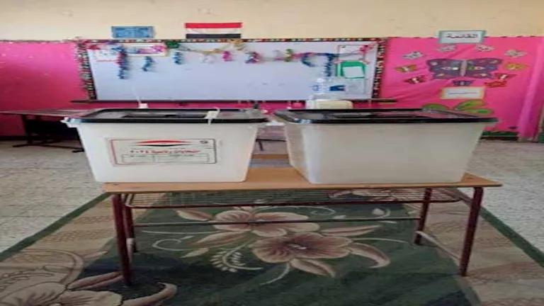 بـ 334 لجنة.. “تعليم القاهرة” تعلن جاهزيتها لانتخابات مجلس الشيوخ 202